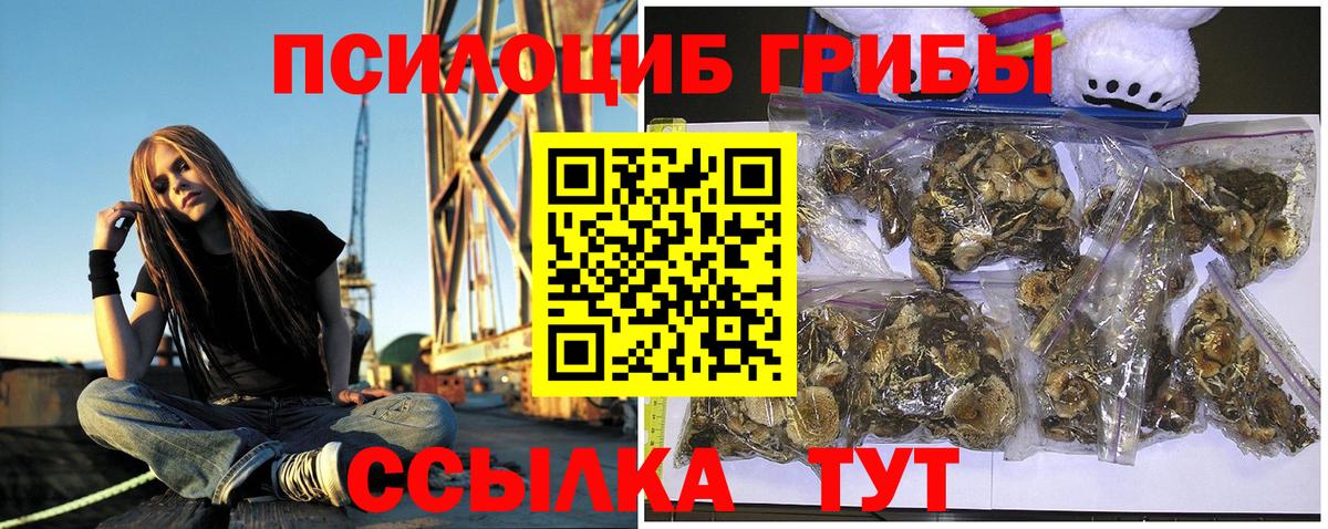 Псилоцибиновые грибы Psilocybe  Вход с VPN  Галлюциногенные грибы MAGIC MUSHROOMS  Верхняя Пышма 